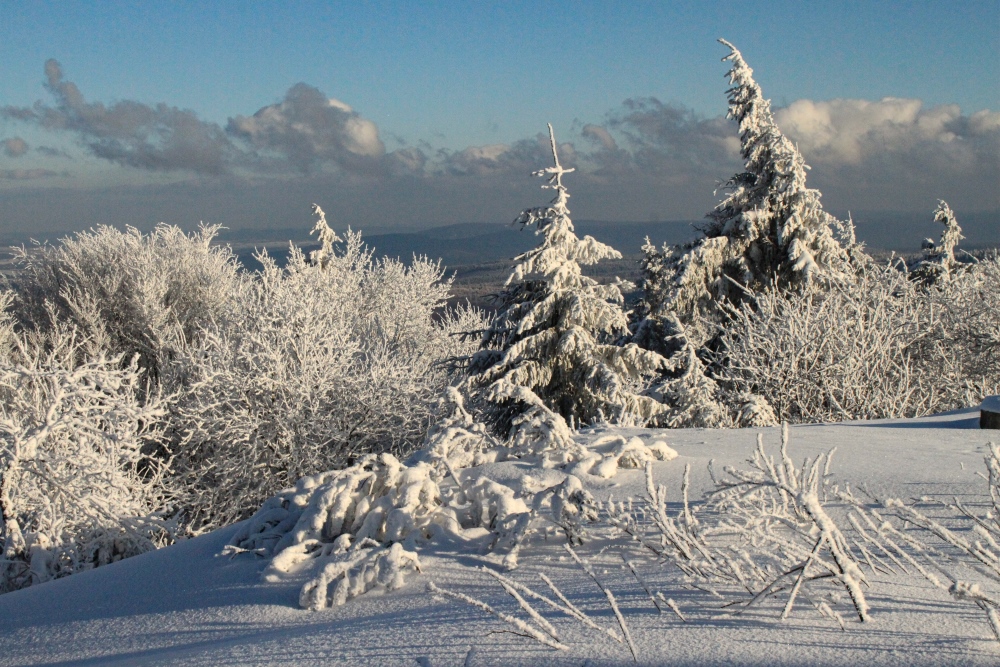 Winterlicher Thüringer Wald