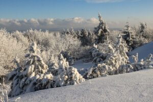 Winterlicher Thüringer Wald