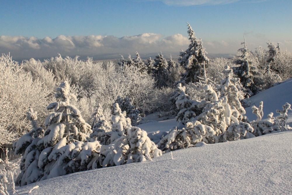 Winterlicher Thüringer Wald