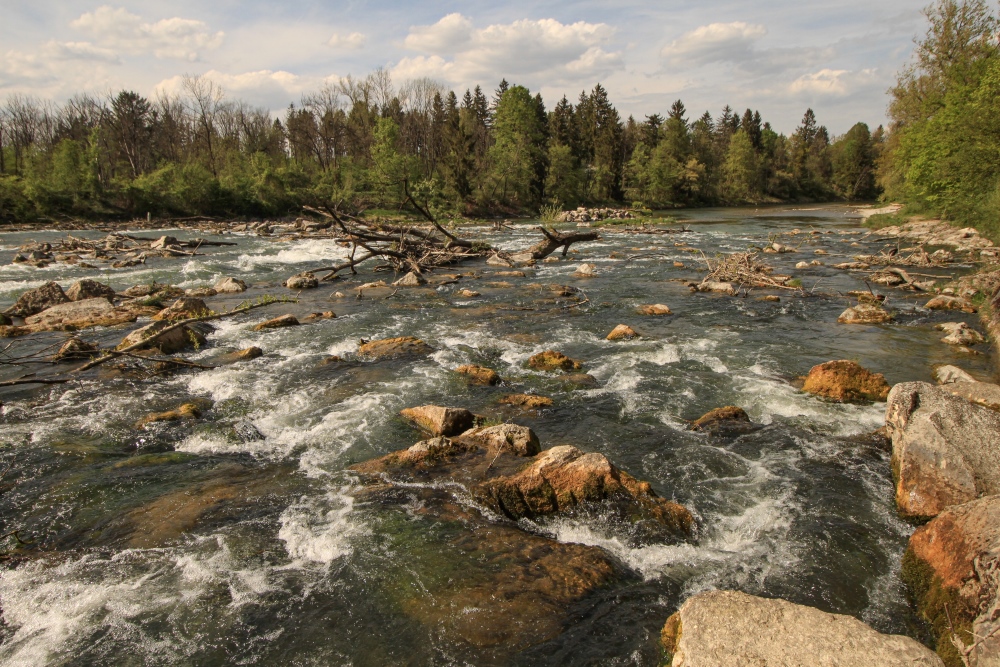 Isar bei Freising
