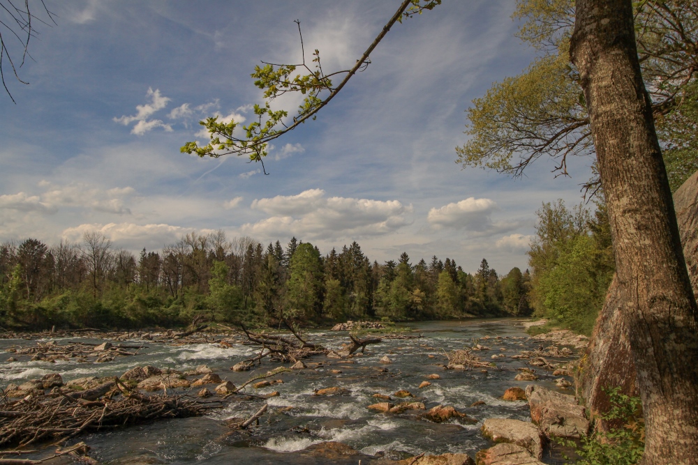 Isar bei Freising
