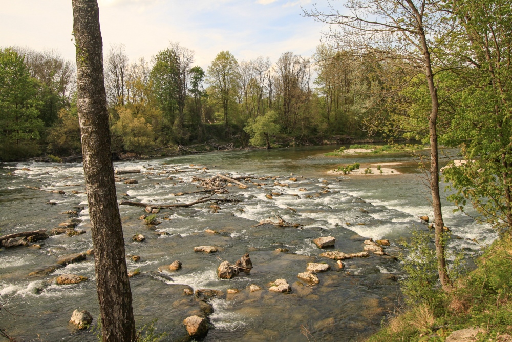 Isar bei Freising
