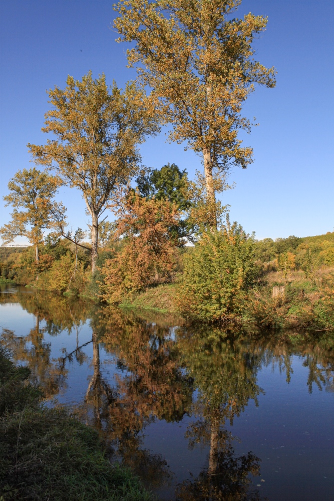 Saale an der Ilmmündung
