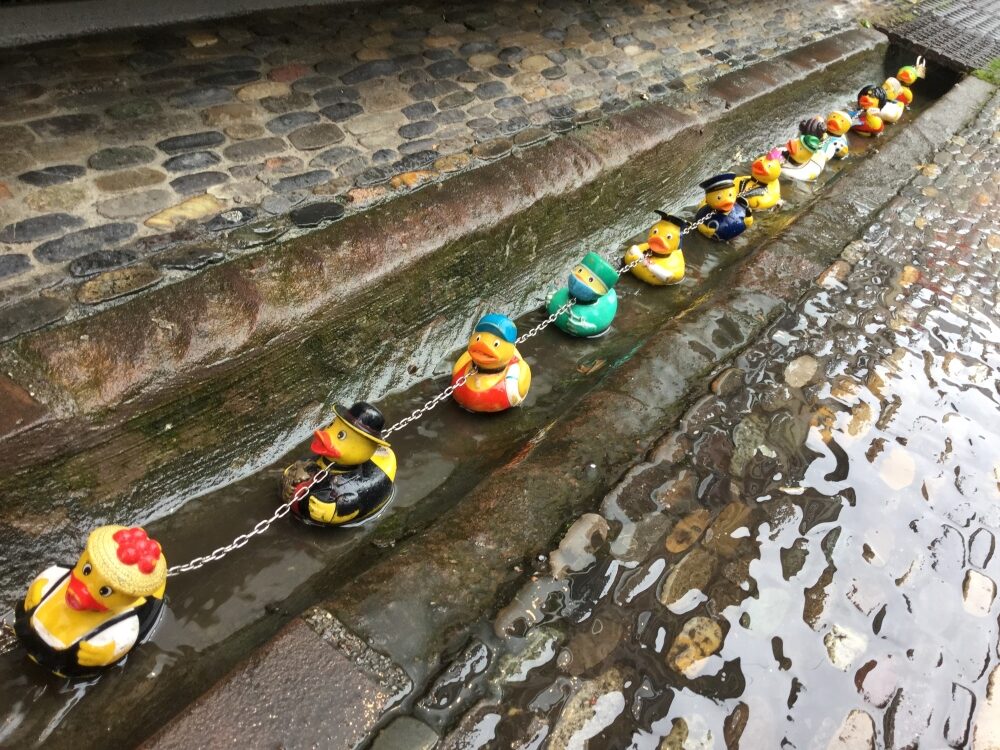 Freiburg; Bächle-Enten