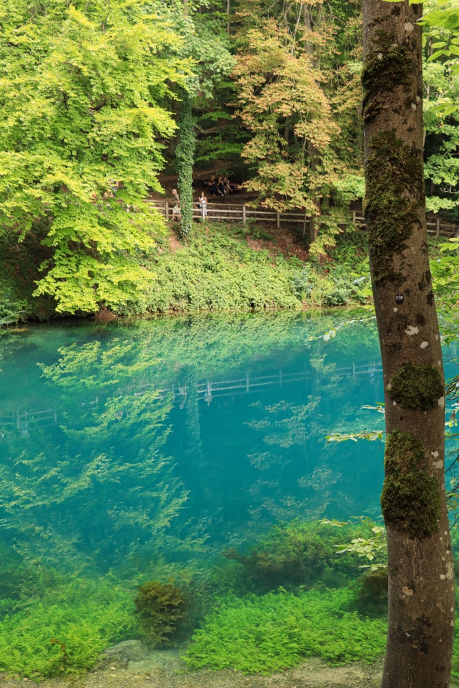 Blaubeuren, Blautopf