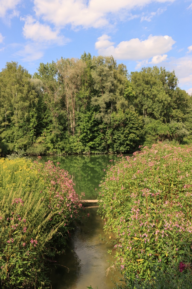 Iller bei Illertissen