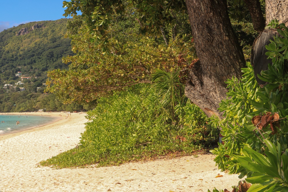 Seychellen; Mahé, Beau Vallon