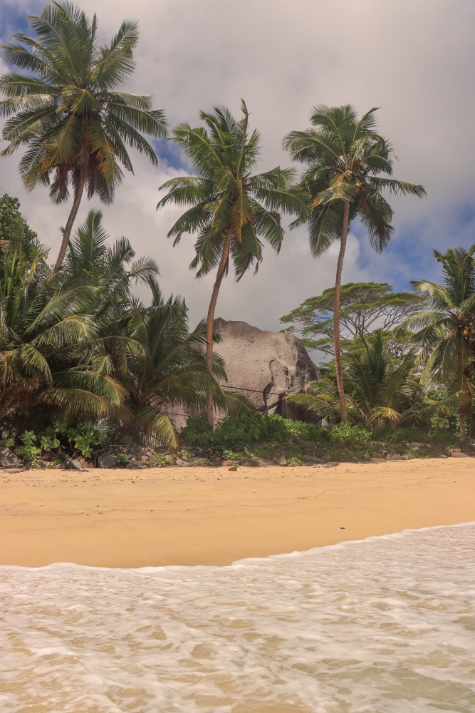 Seychellen; Mahé, Anse Takamaka