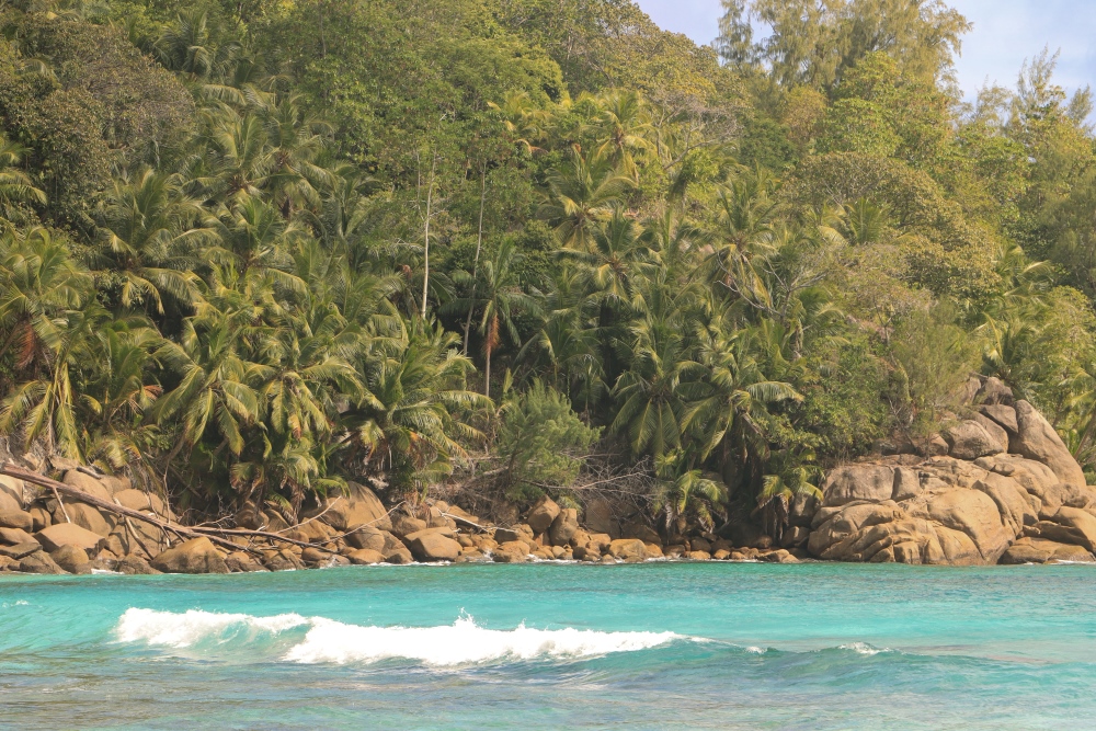 Seychellen; Mahé, Anse Intencance