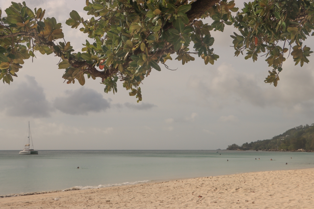 Seychellen; Beau Vallon auf Mahé