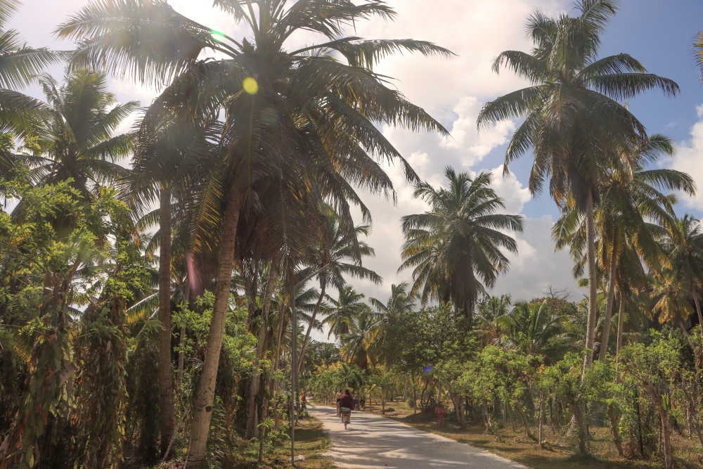 Seychellen; La Digue, L'Union Estate Farm