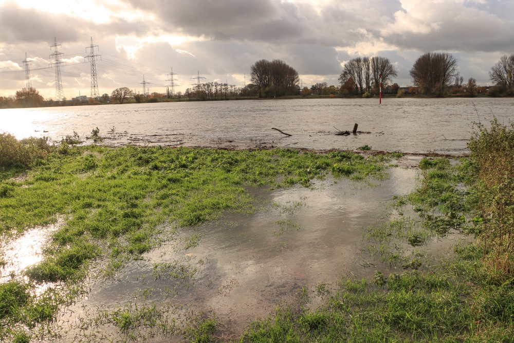 Niederrhein, Kölner Bucht