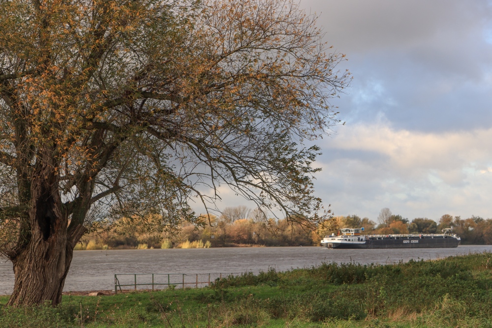 Niederrhein, Kölner Bucht