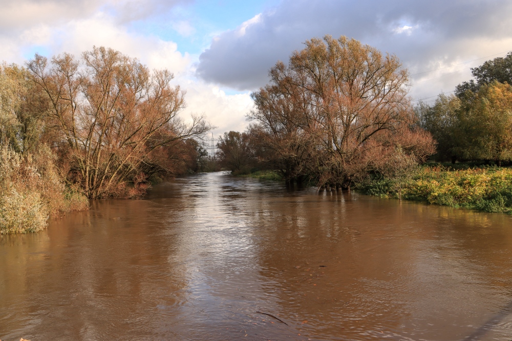 Niederrhein, Kölner Bucht