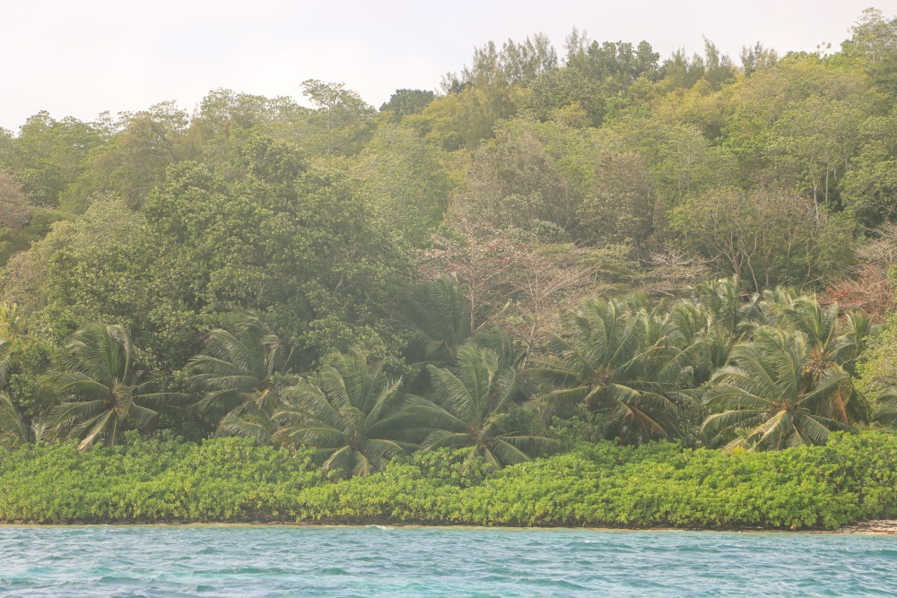 Seychellen; Ile au Cerf