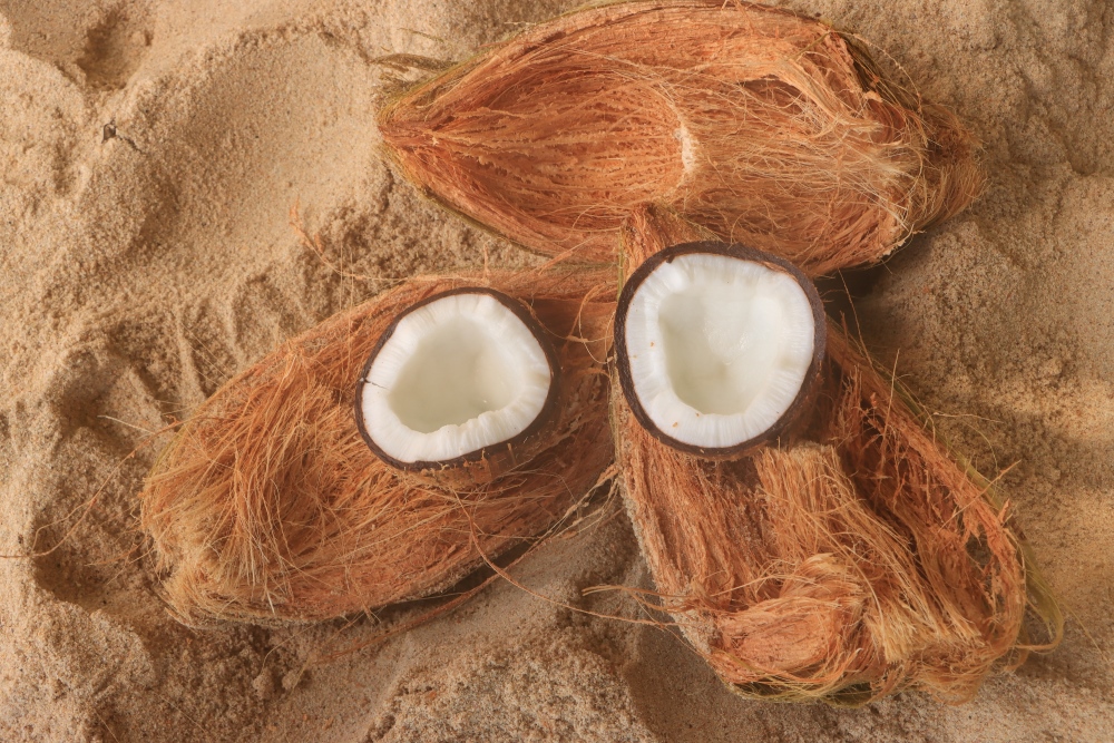 Kokosnuss