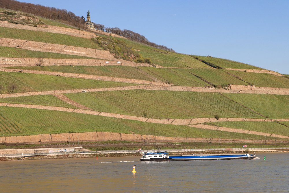 Mittelrhein, Burgen