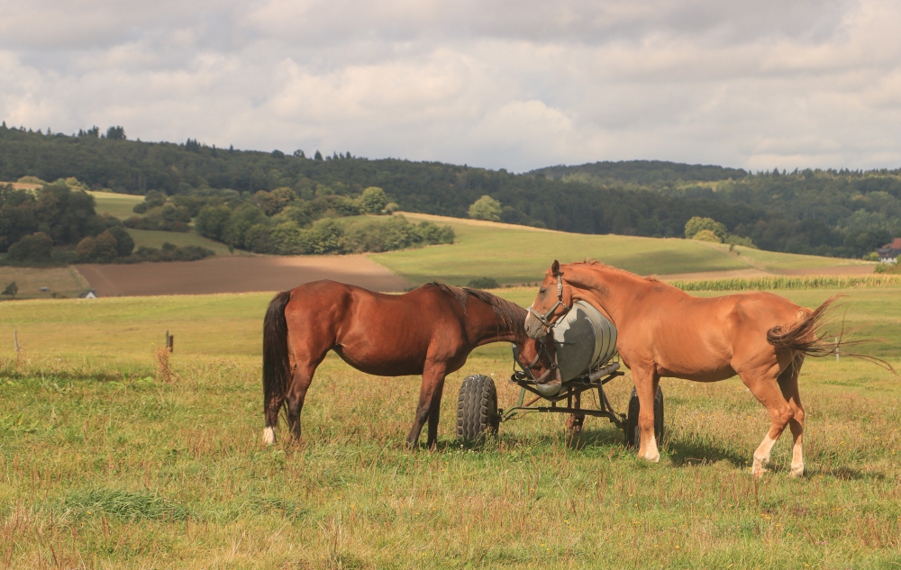Oberhessen, Ländl. Idylle