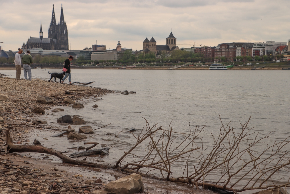 Niederrhein, Köln