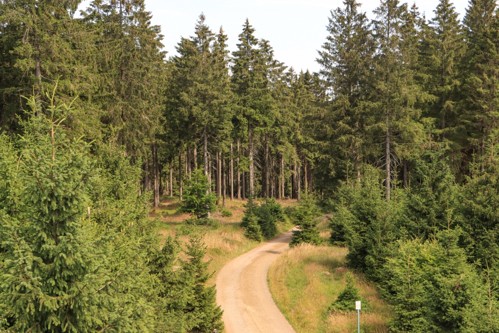 Thür. Wald; Rennsteig