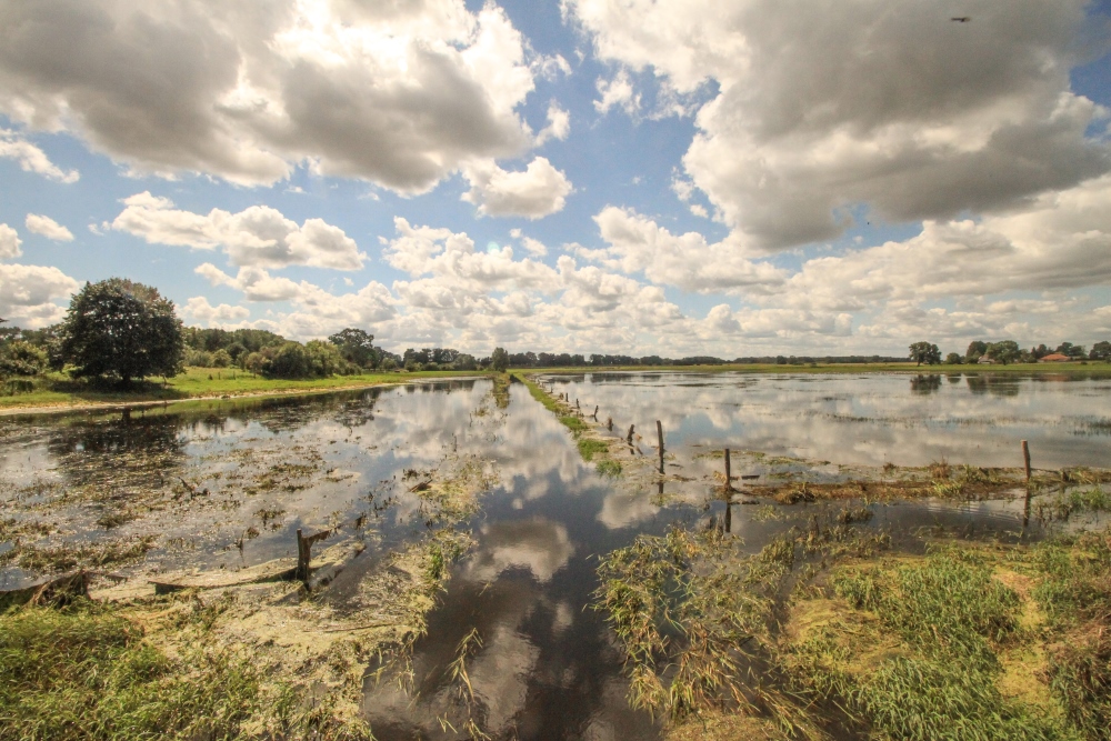 Rhinluch, Überschwemmung