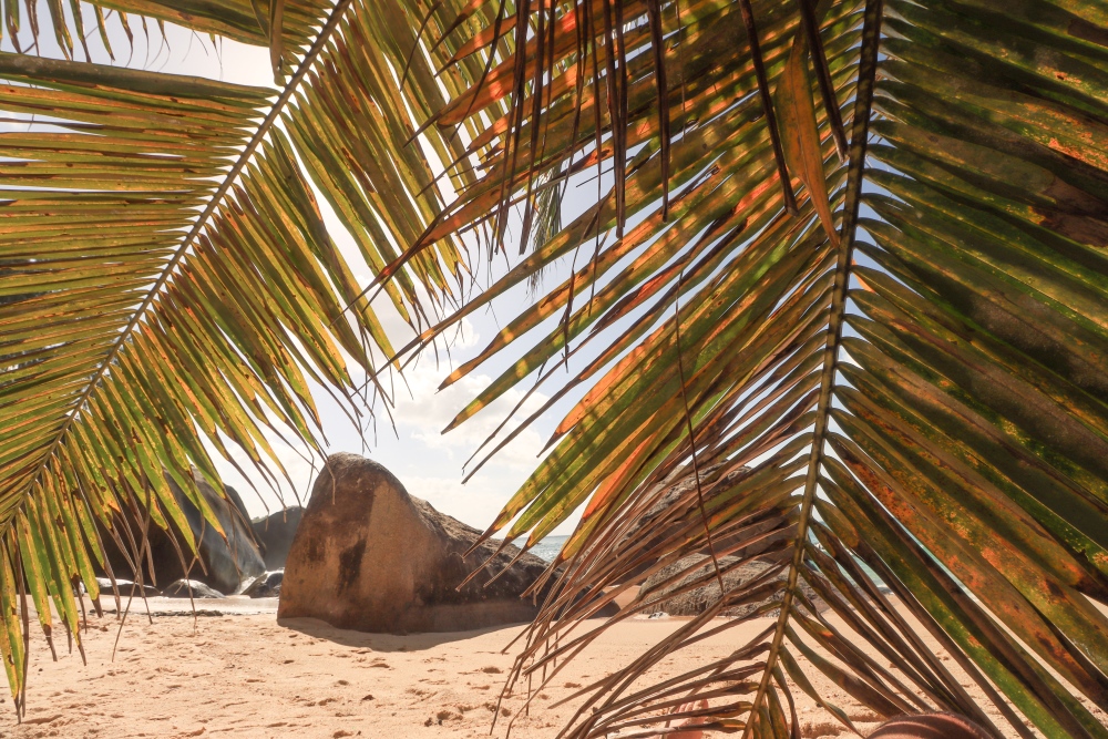 Seychellen; Mahé, Machabee
