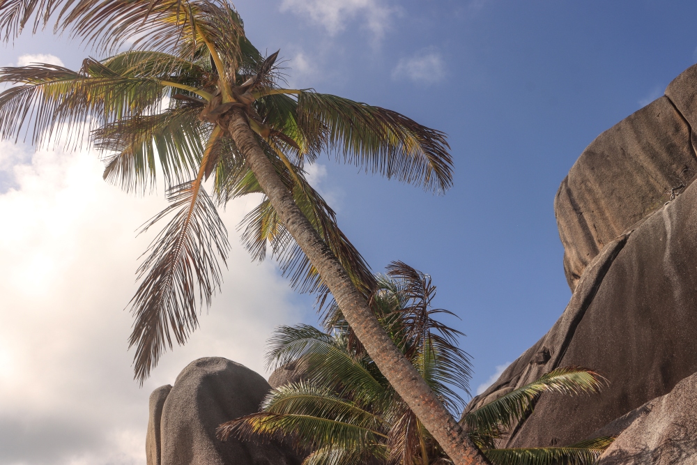 Seychellen; La Digue, Anse Source d'Argent
