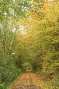 Bahnradweg Hessen