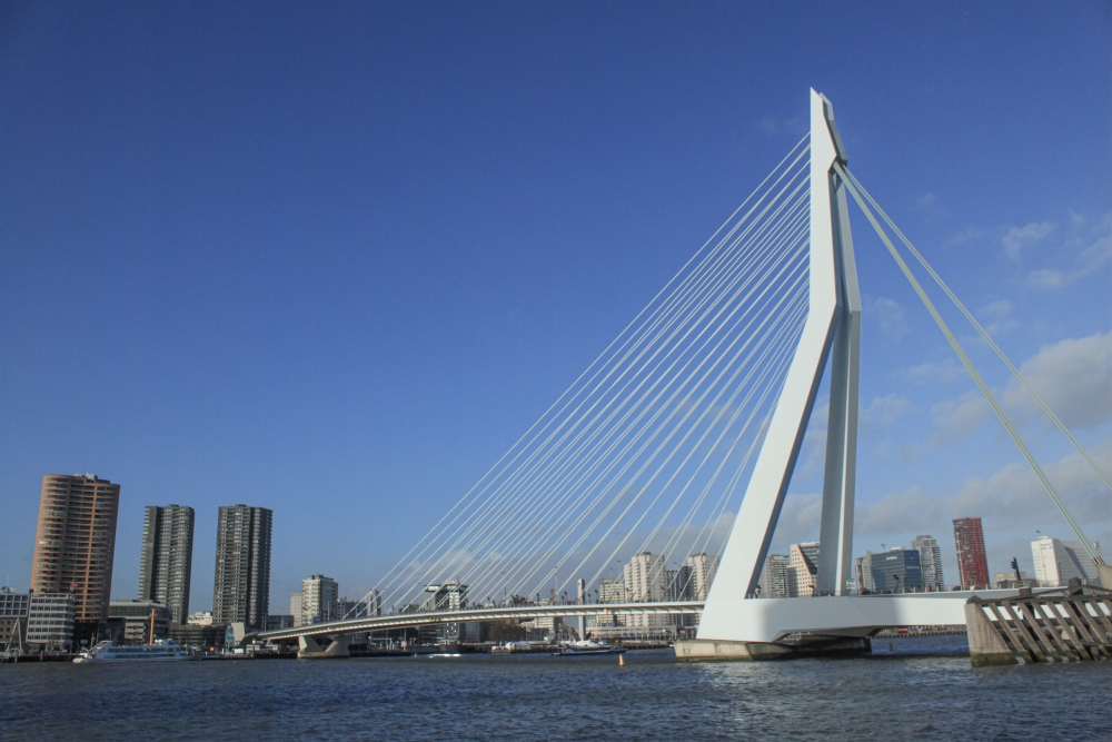 Rotterdam