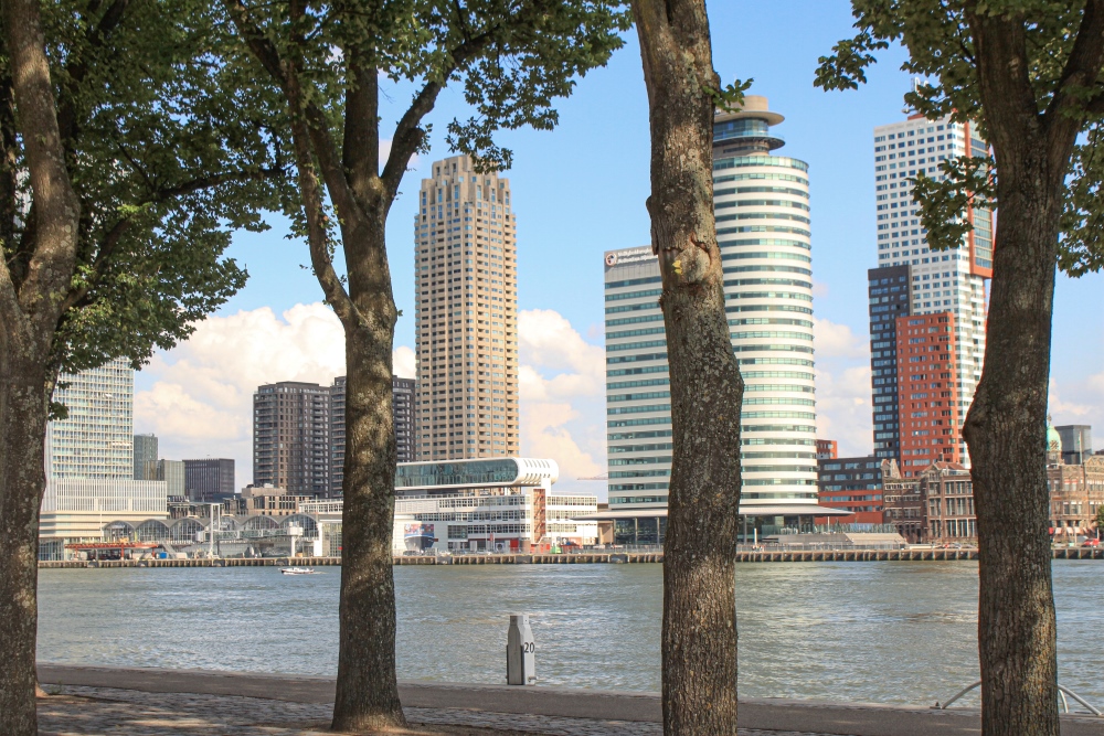 Rotterdam