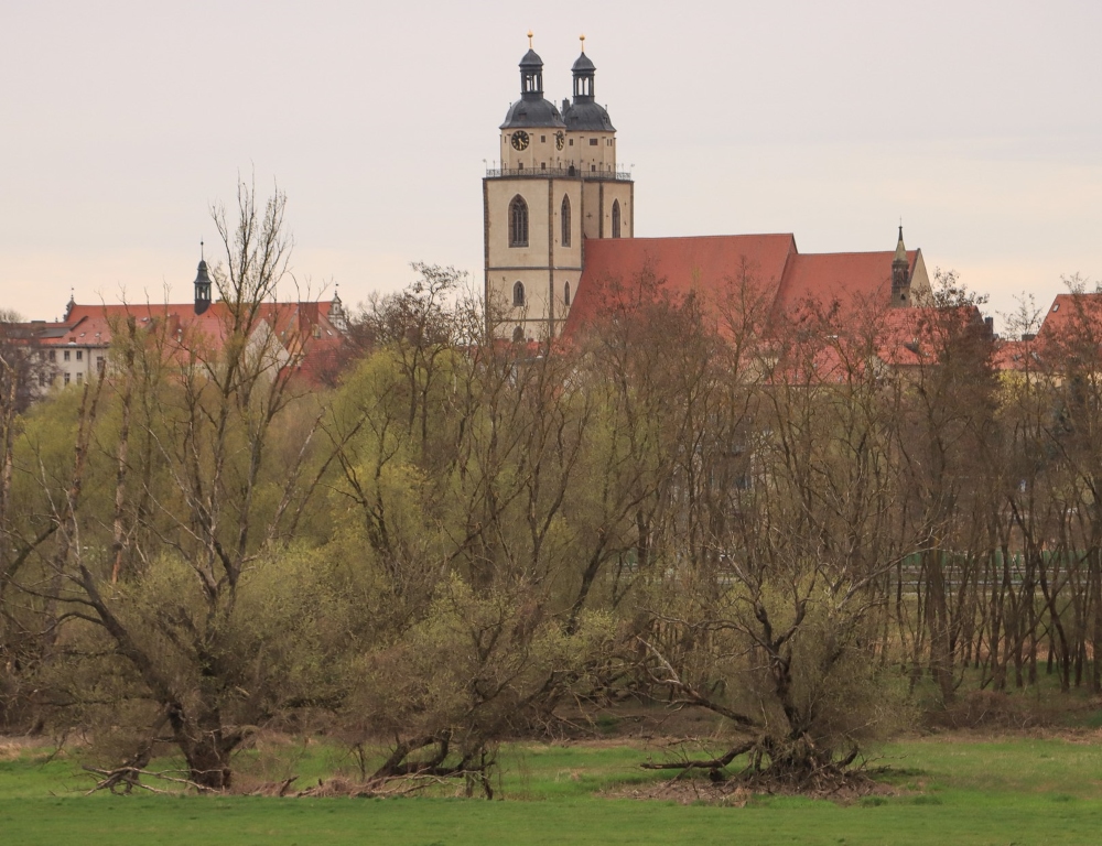 Wittenberg