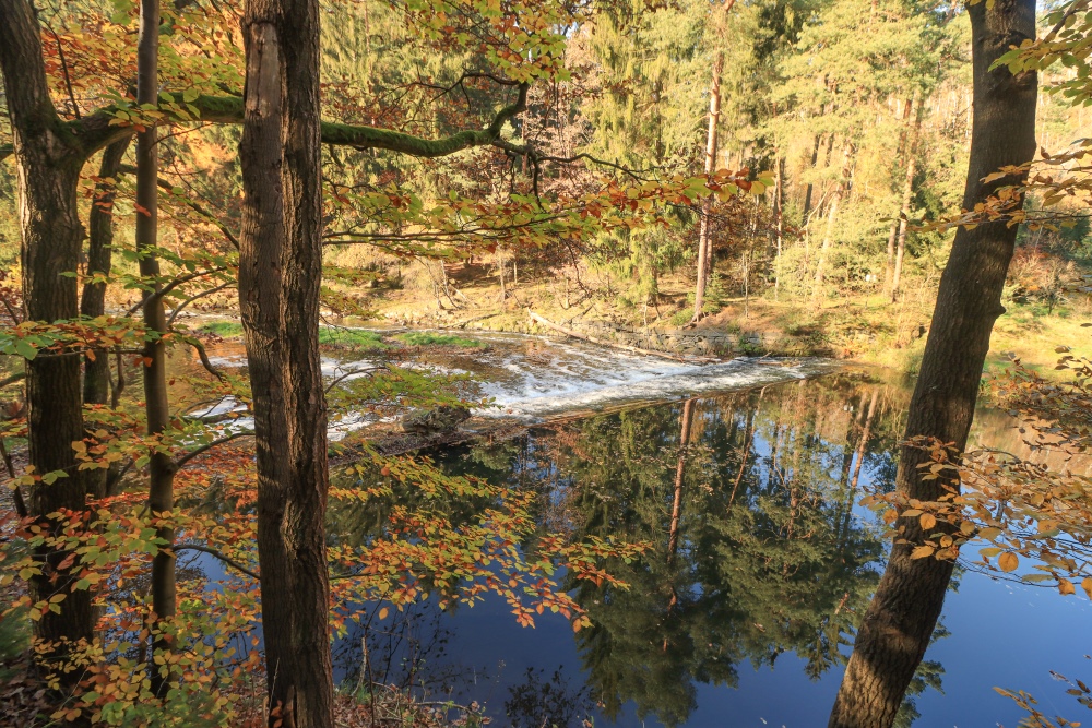 Sachsen