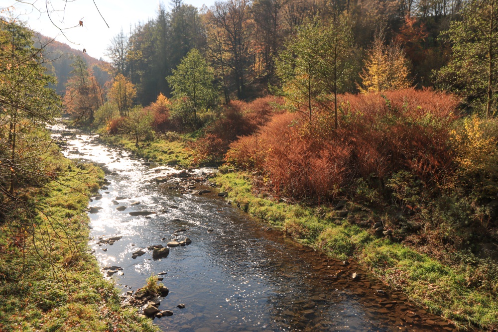 Sachsen