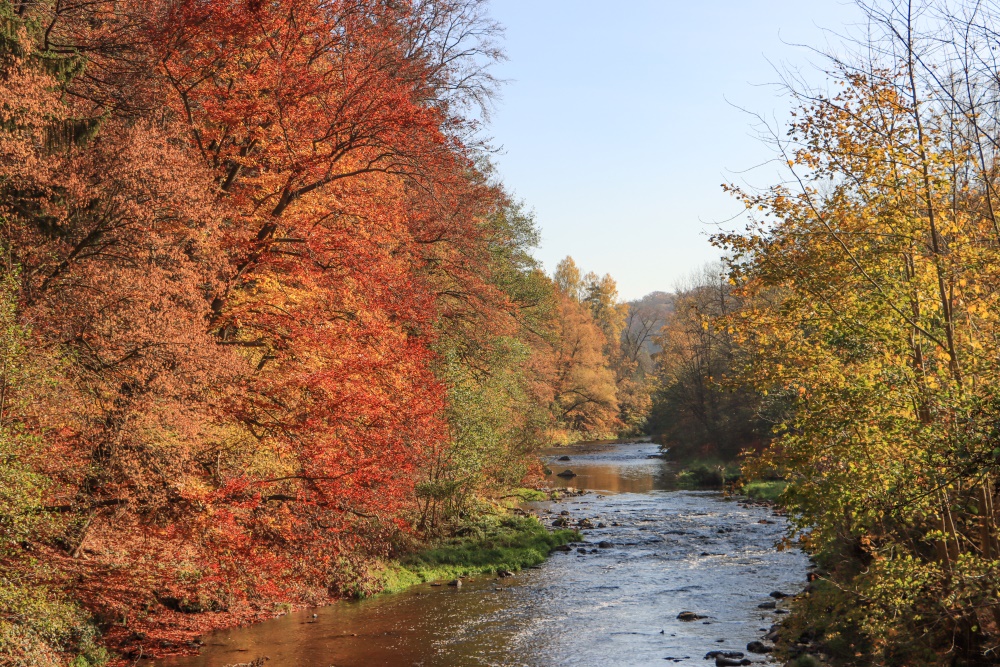 Sachsen