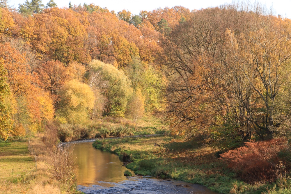 Sachsen