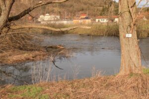 Saale 1