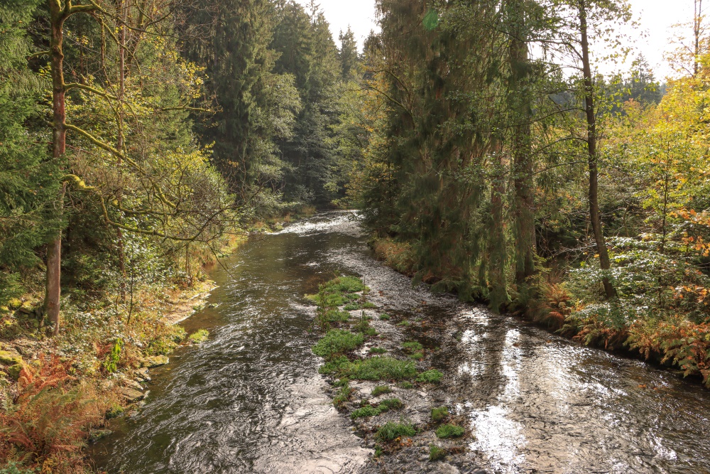 Sachsen