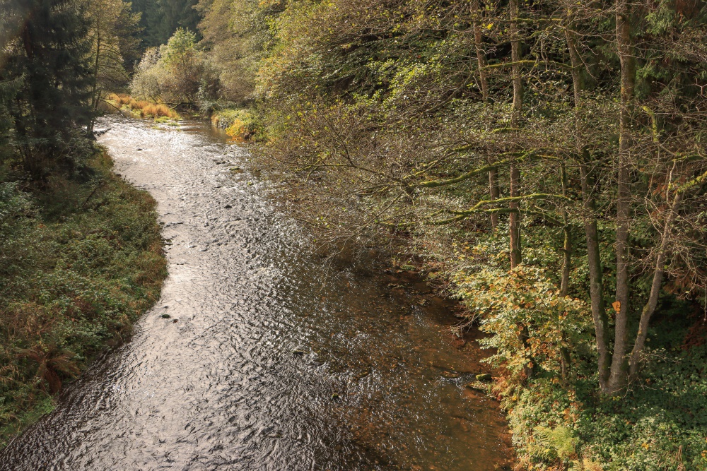 Sachsen