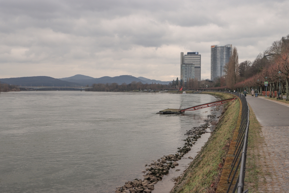 Rhein