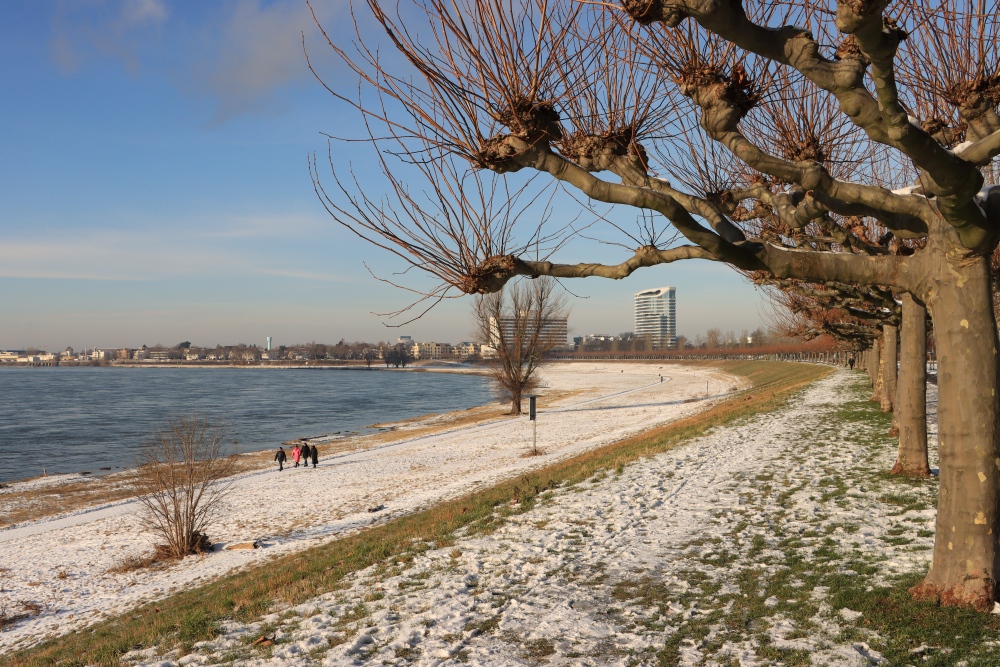 Rhein