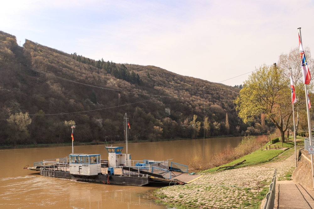Mosel