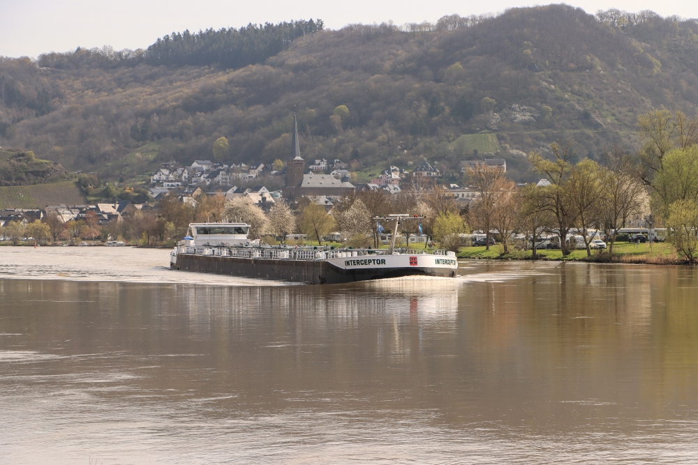 Mosel