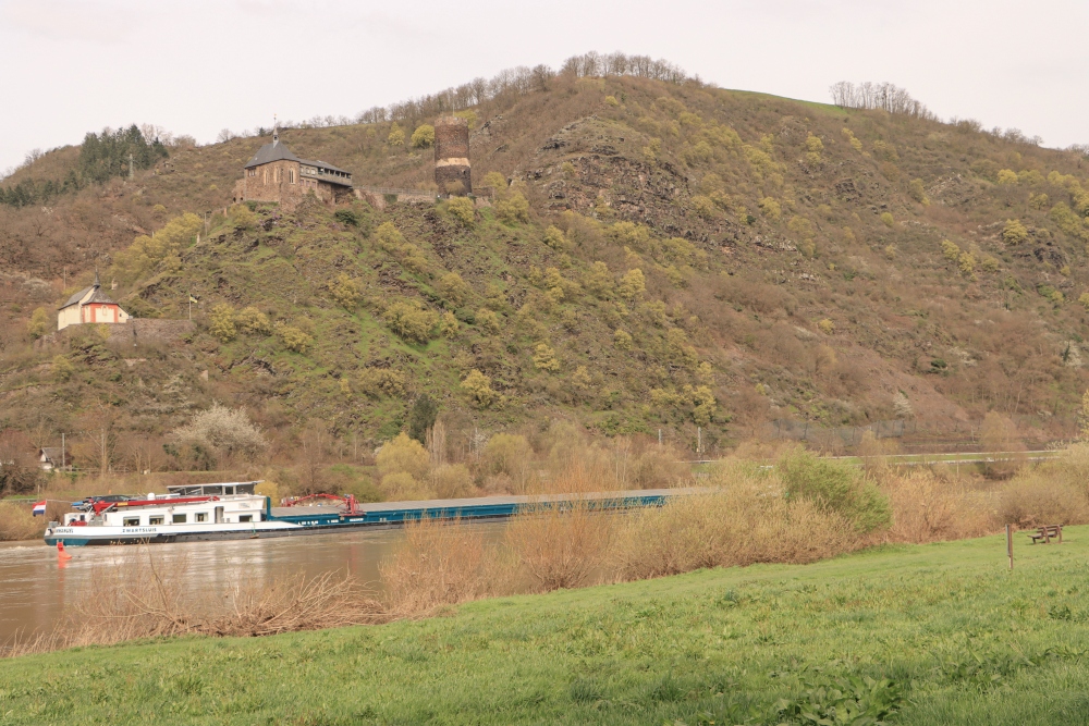 Mosel