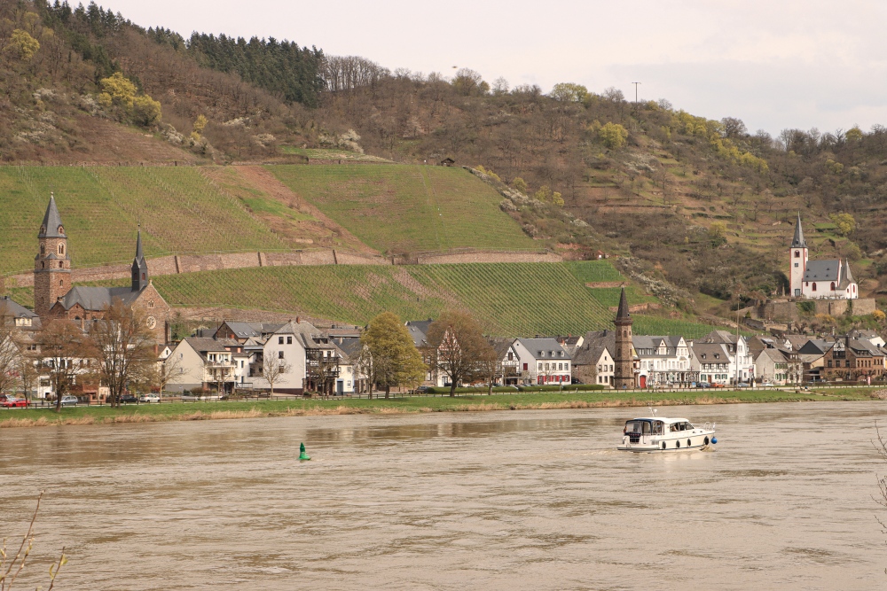 Mosel