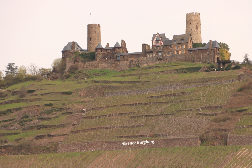 Mosel