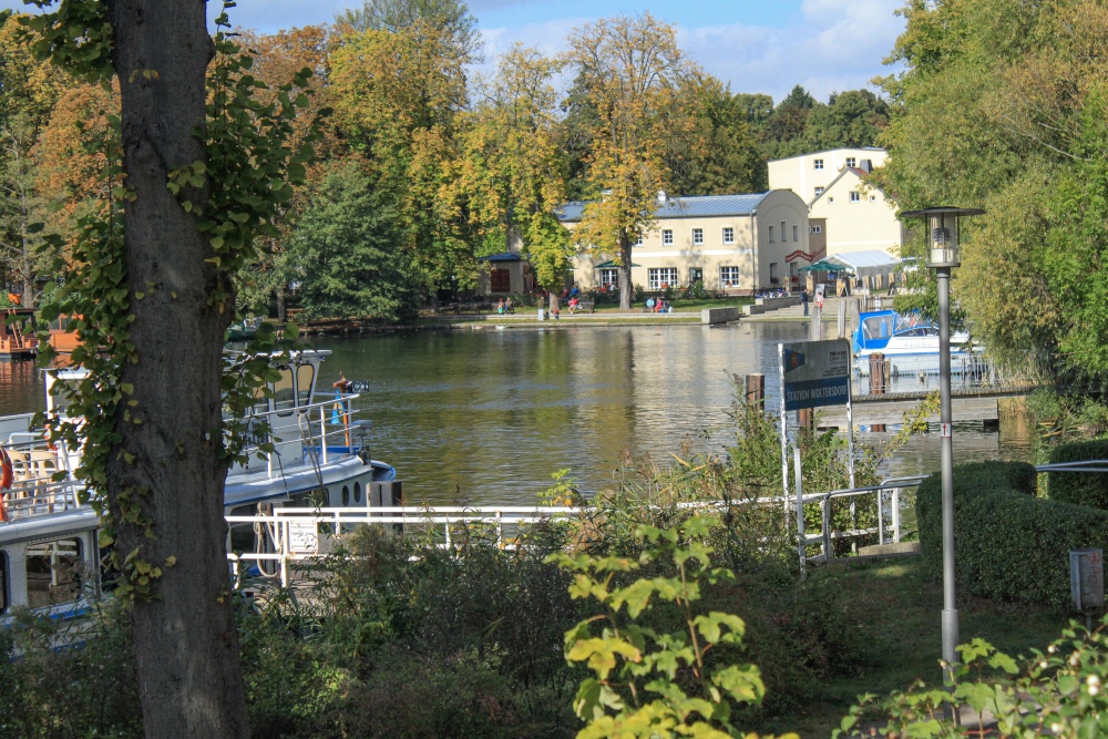 Spree