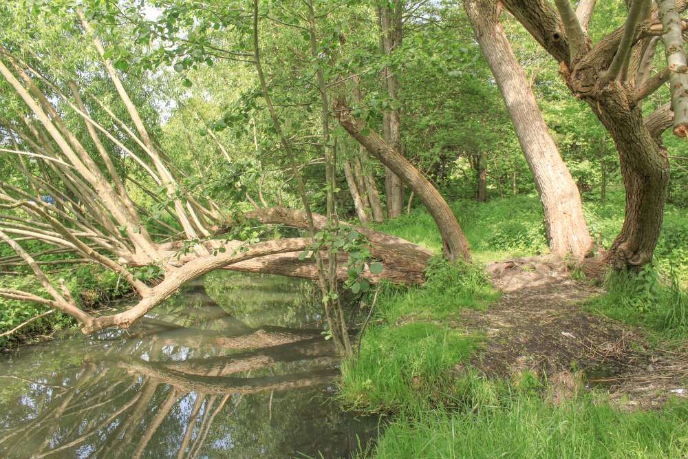 Prignitz