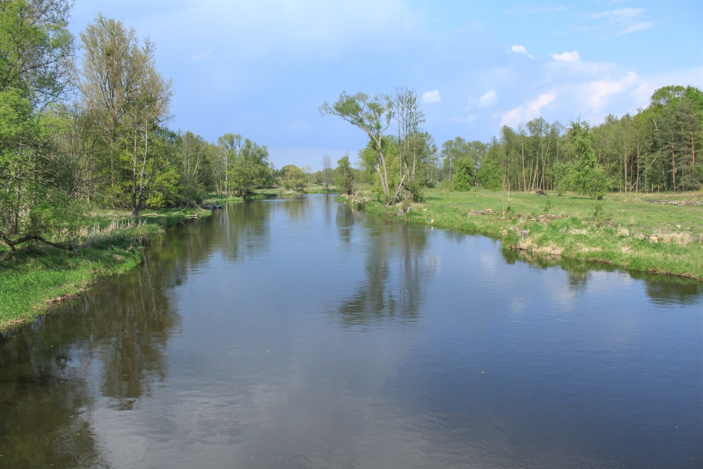 Spree