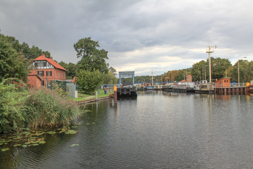 Spree