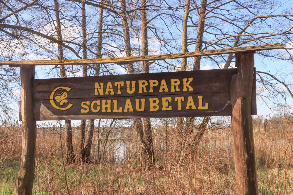 Schlaube